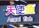 天使鱼儿童乐园加盟