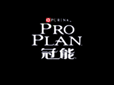 冠能狗粮加盟