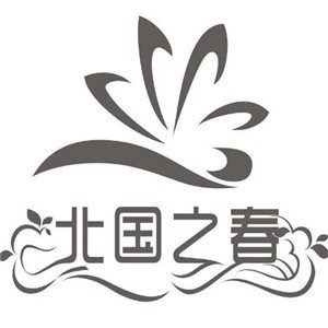 北国之春暖气片加盟