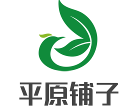 平原铺子加盟
