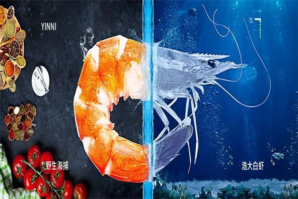 浩大极鲜