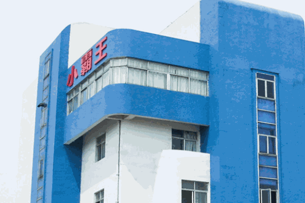 小霸王学习机
