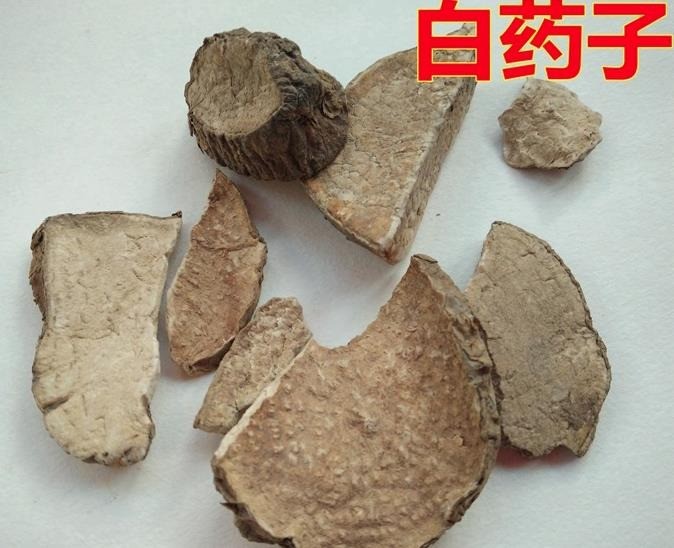 冷背药材