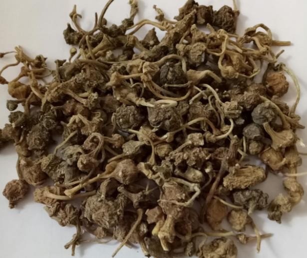 冷背药材