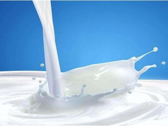 长江牛奶