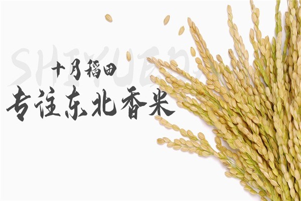 十月稻田