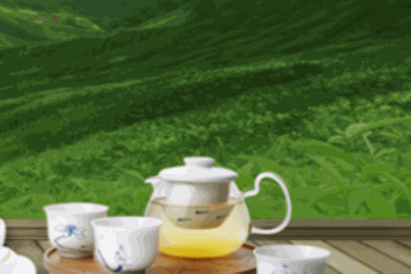 贵州茶资源