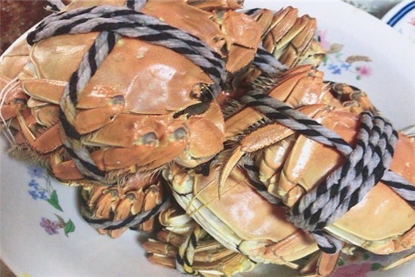 巴城舫阳澄湖大闸蟹
