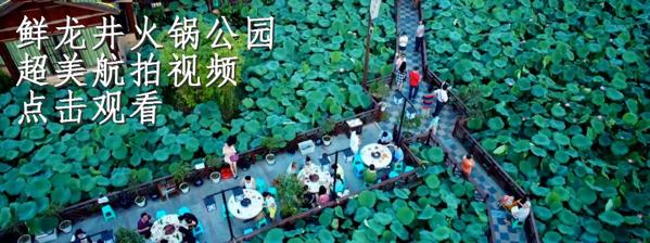 鲜龙井火锅