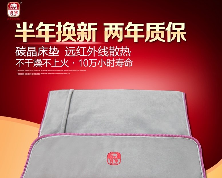 得象