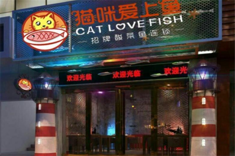 猫咪爱上鱼酸菜鱼