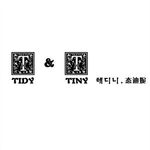 态迪妮 TIDY & TINY女装加盟