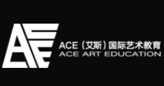 ACE国际艺术教育加盟