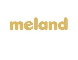 meland club儿童乐园加盟