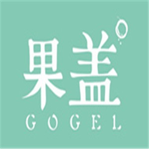 gogel果盖加盟