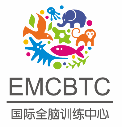 emcbtc国际全脑训练中心加盟
