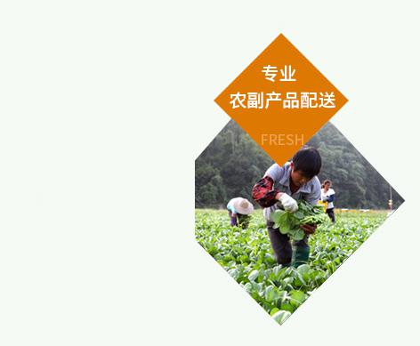 一吃旺食材城