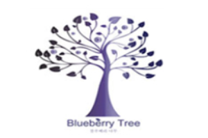 蓝莓树女装加盟