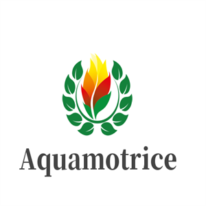 Aquamotrice男装加盟