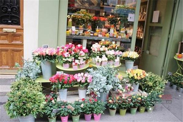 鲜花店特许经营全国