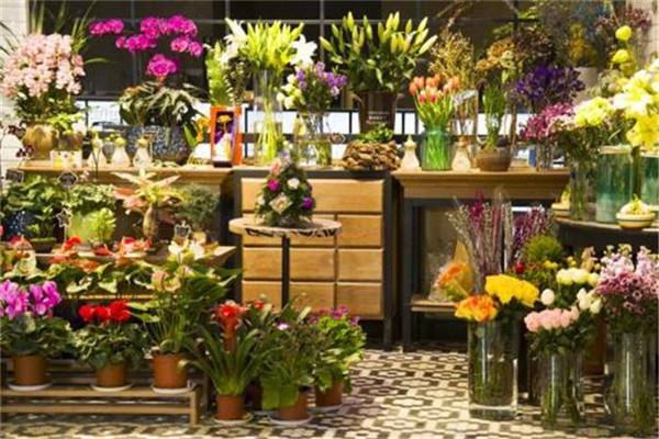 鲜花店特许经营全国