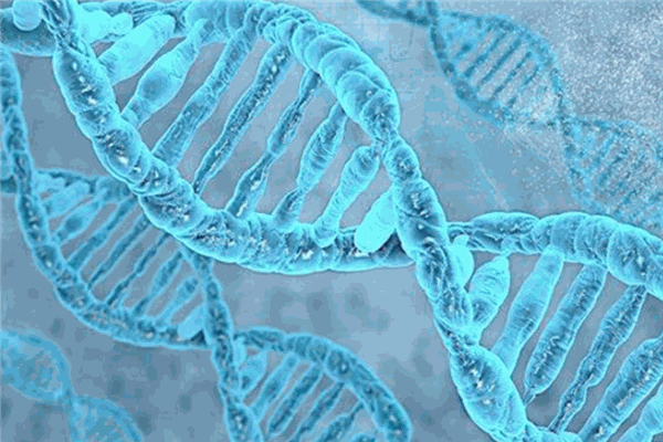 寰基基因检测加盟