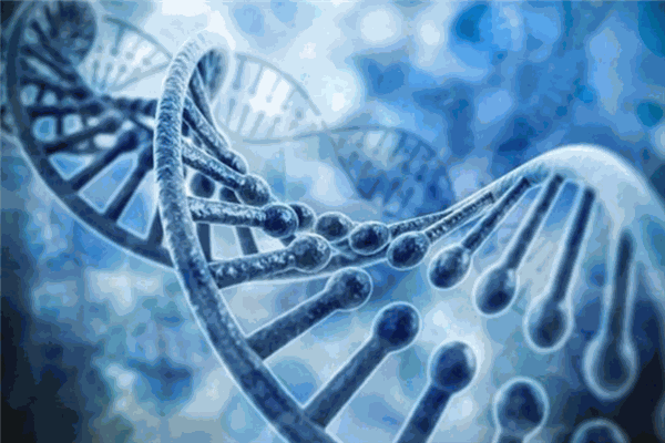 起源基因检测加盟