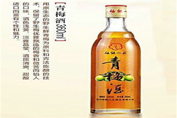 鹤梅山庄青梅酒加盟