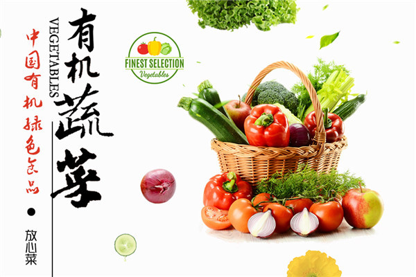 中国有机绿色食品加盟
