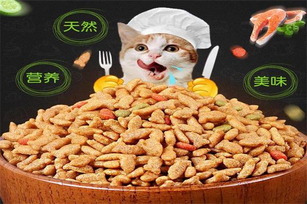 渴望猫粮加盟