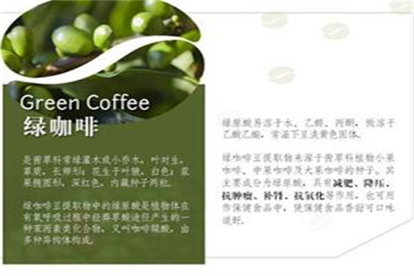 绿咖啡减肥