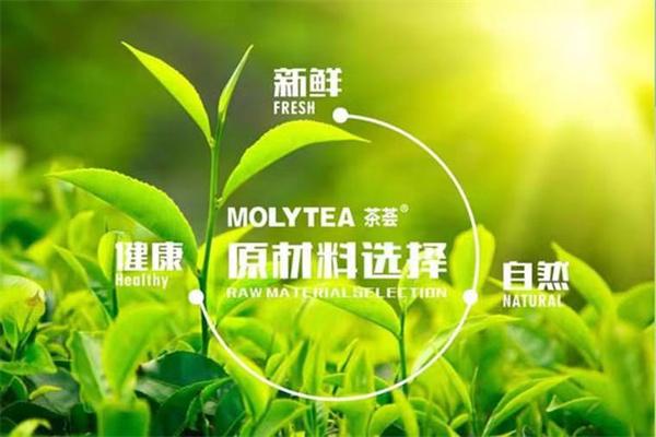 茶荟molytea