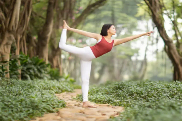 禅林瑜伽舞蹈培训加盟