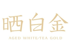 晒白金白茶加盟