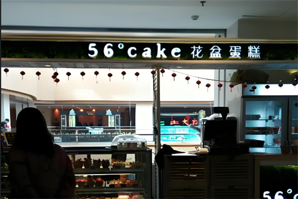 56度cake花盆蛋糕