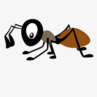 灰蚂蚁视力加盟