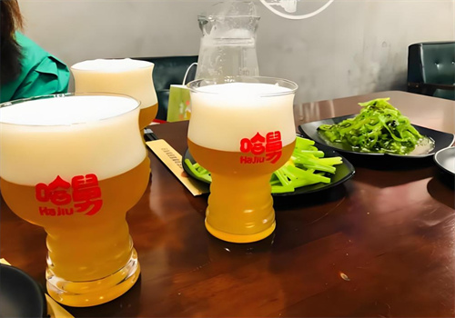 哈舅精酿啤酒加盟