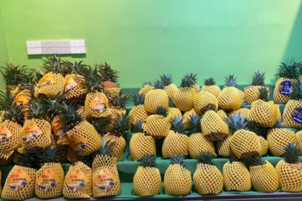 喜果水果店加盟电话是多少? 喜果水果店加盟电话是多少?
