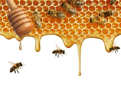 罗浮山蜂蜜加盟条件